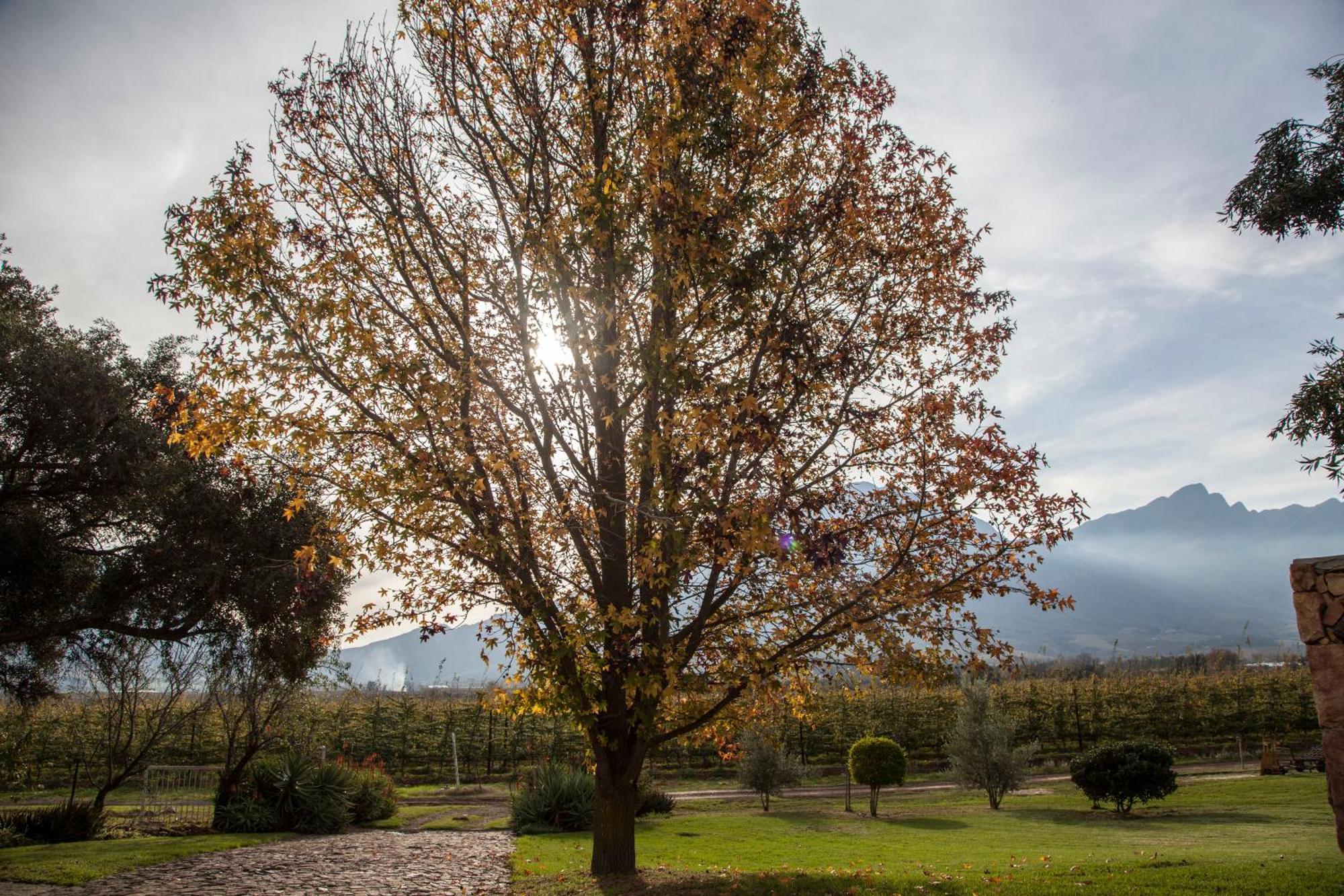 Bergsicht Country Farm Cottages Tulbagh Cameră foto